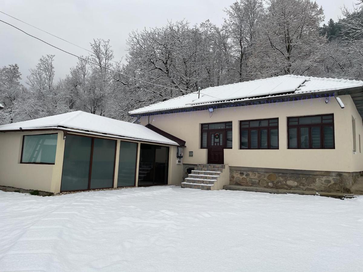 Villa Casa Lupilor Transfagarasan Căpăţîneni-Ungureni Exterior foto