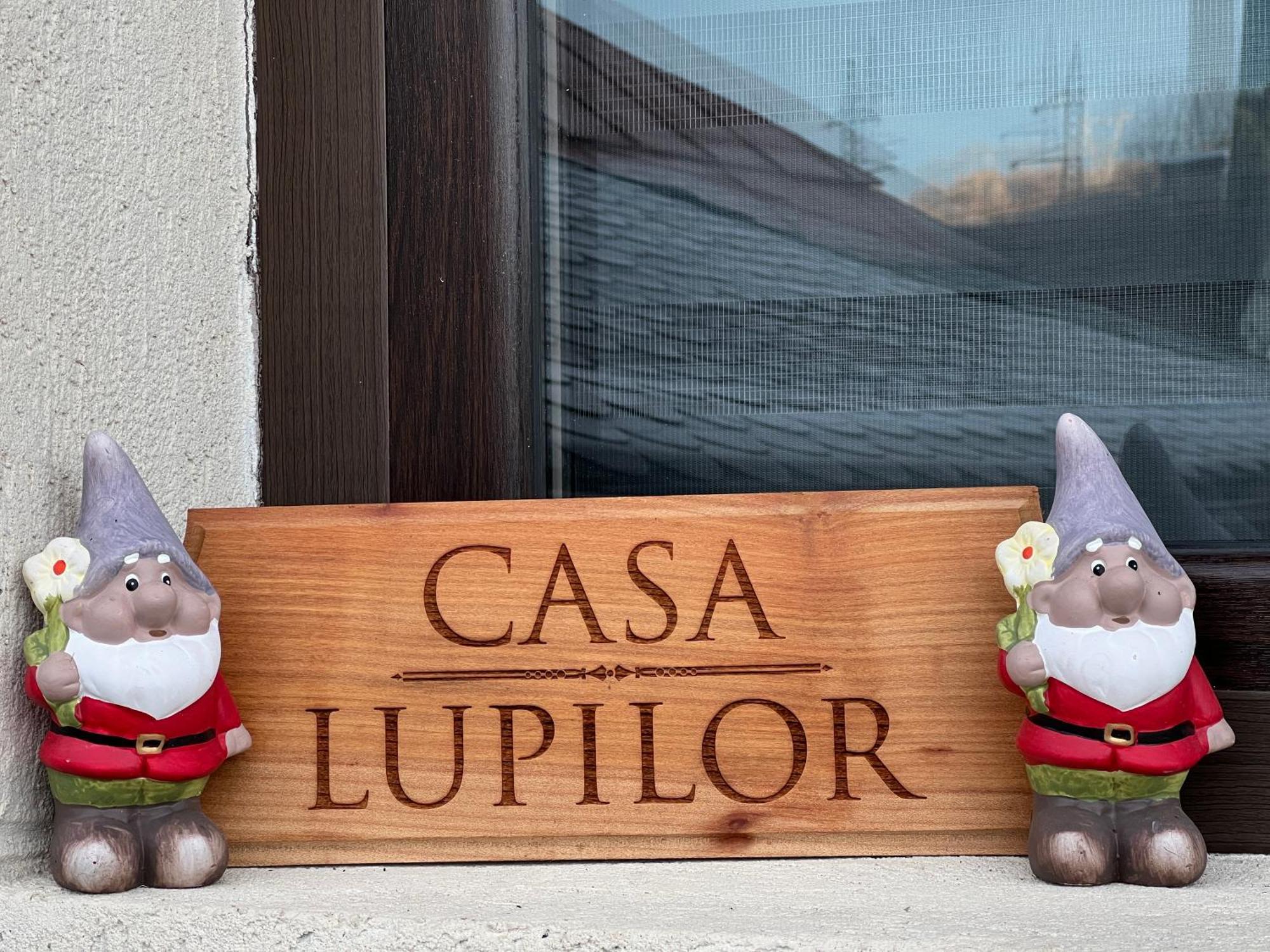 Villa Casa Lupilor Transfagarasan Căpăţîneni-Ungureni Exterior foto